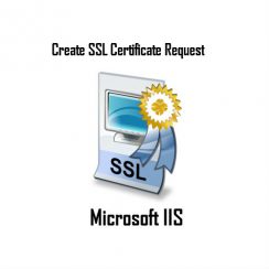 SSL Certificate Request for Microsoft IIS