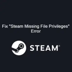 Steam Missing File Privileges