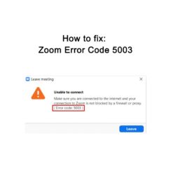 Zoom Error Code 5003