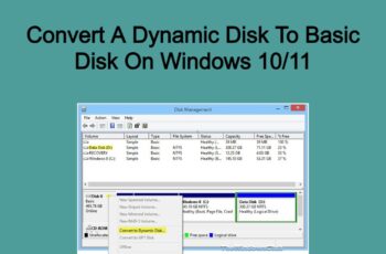 How To Convert A Dynamic Disk To Basic Disk On Windows 10/11